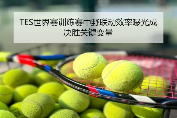TES世界赛训练赛中野联动效率曝光成决胜关键变量